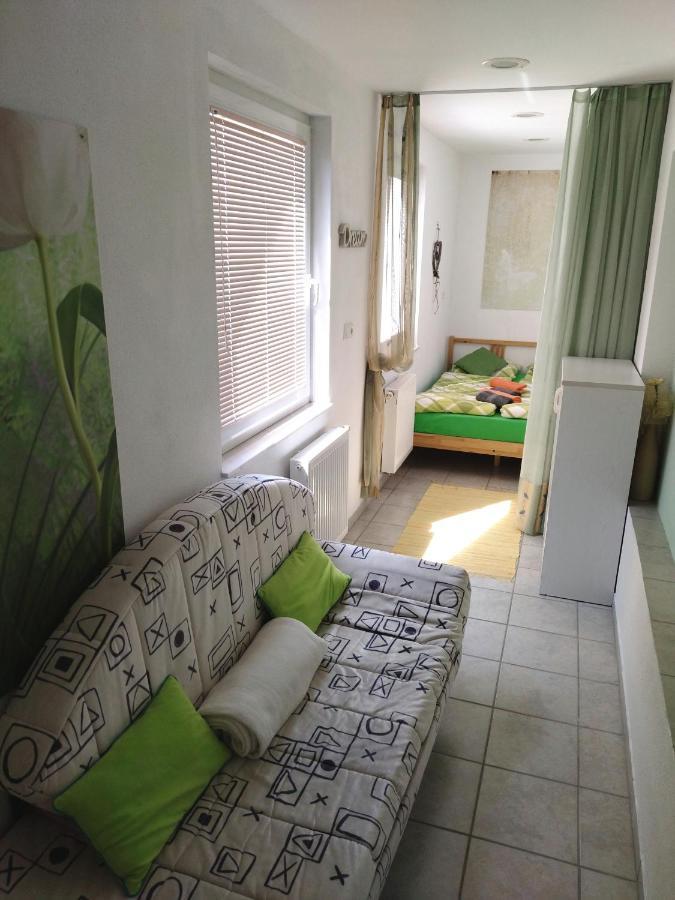 Apartma Peter1A Begunje na Gorenjskem Esterno foto