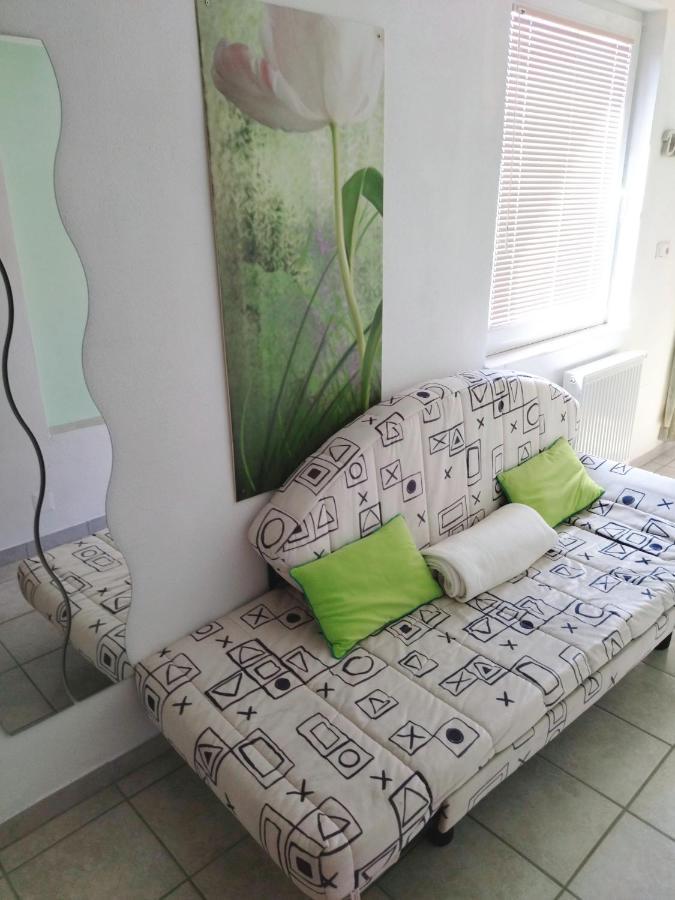 Apartma Peter1A Begunje na Gorenjskem Esterno foto